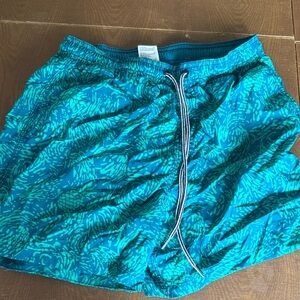 Men’s Speedo Swim Trunks size small